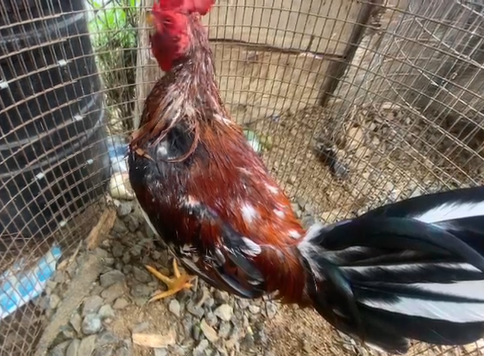 11.08.2024 16.36.23 REC