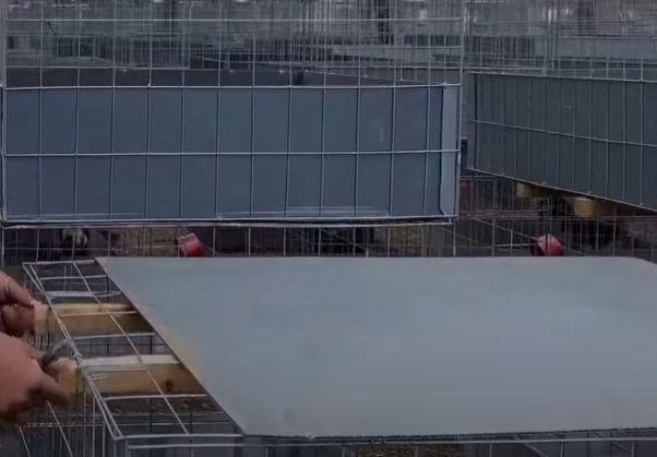 Armado del Segundo Piso y Techo