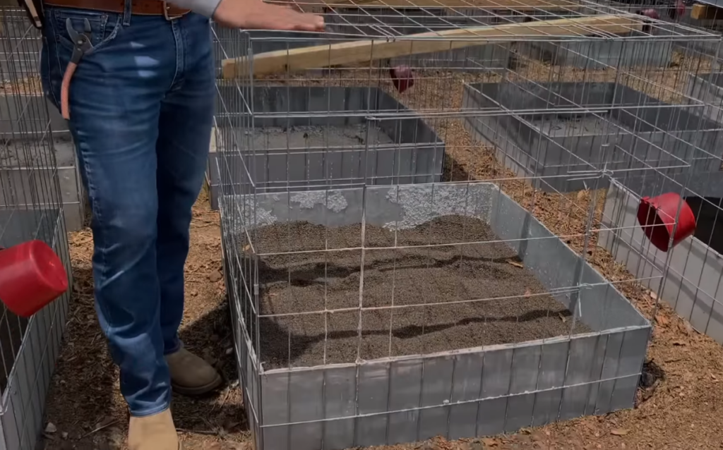 Detalle de la distribución de la cama y los sistemas de drenaje, mostrando cómo se maneja la humedad dentro de las jaulas. 2