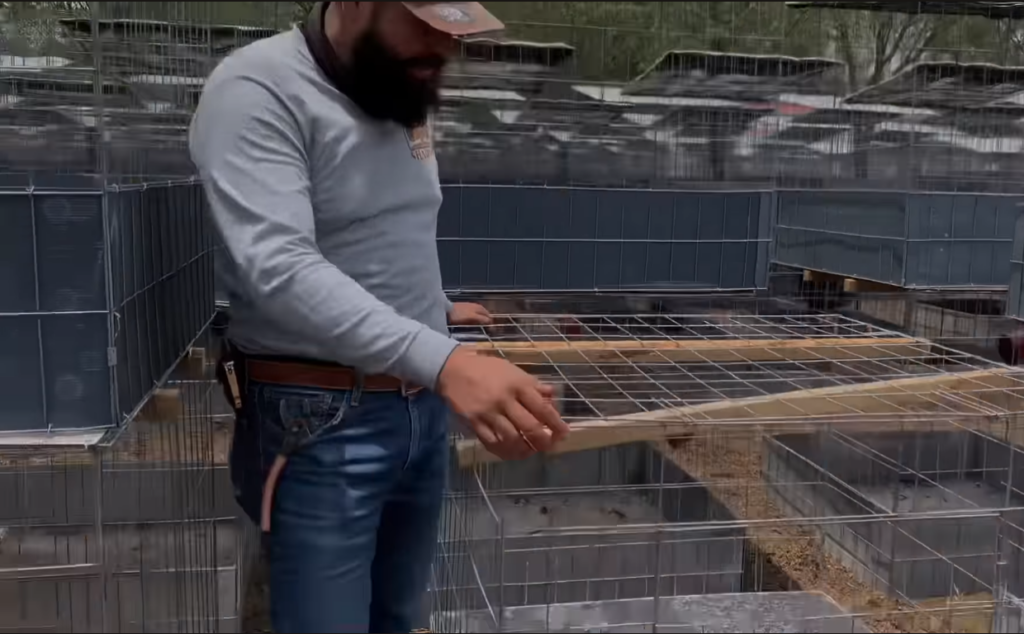 Detalle de la distribución de la cama y los sistemas de drenaje, mostrando cómo se maneja la humedad dentro de las jaulas.3