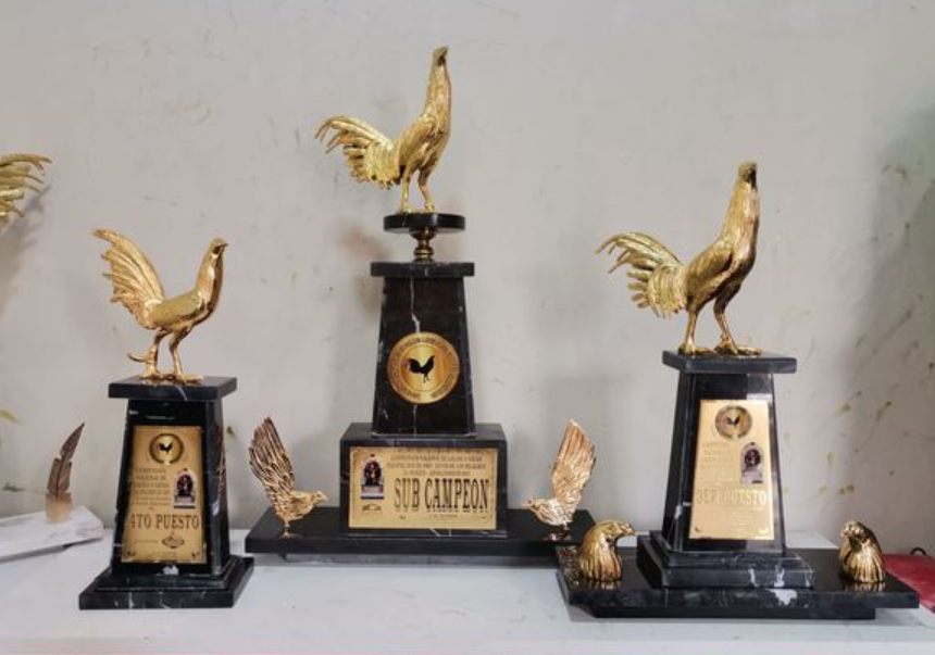 Premios Son Trofeo Competición En La Gallística