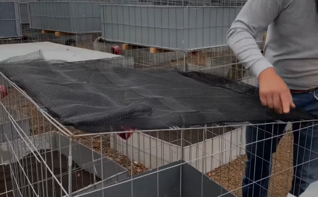 Proceso de inspección y mantenimiento de las jaulas, mostrando las áreas clave a revisar y cómo realizar las reparaciones necesarias. 0