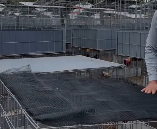 Proceso de inspección y mantenimiento de las jaulas, mostrando las áreas clave a revisar y cómo realizar las reparaciones necesarias. 8