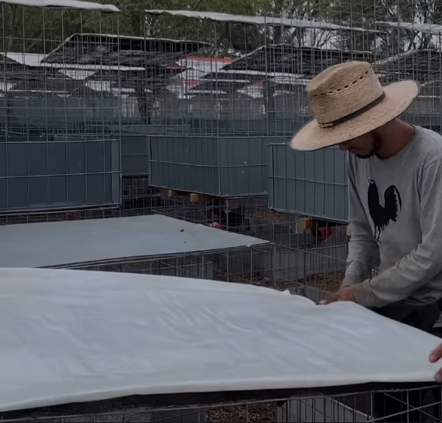 Proceso de inspección y mantenimiento de las jaulas, mostrando las áreas clave a revisar y cómo realizar las reparaciones necesarias. 9