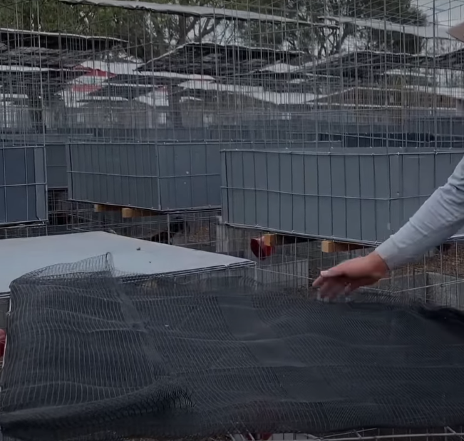 Proceso de inspección y mantenimiento de las jaulas, mostrando las áreas clave a revisar y cómo realizar las reparaciones necesarias.3