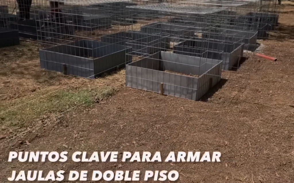 Un esquema básico de una jaula de dos pisos, mostrando las dimensiones y materiales utilizados