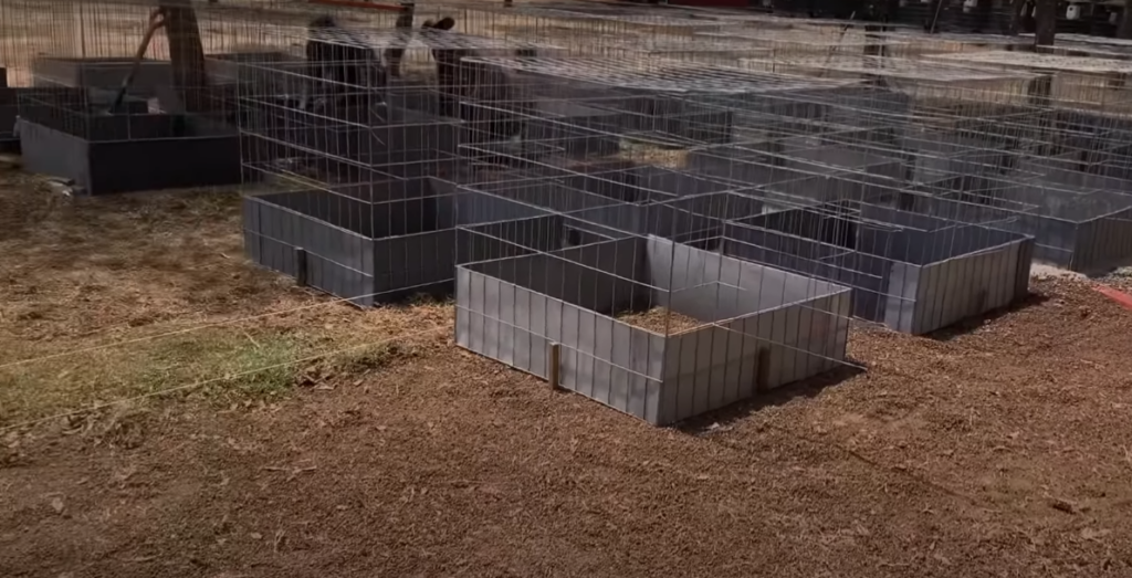 Vista aérea de un terreno bien preparado, con el trazado de las futuras jaulas claramente delineado
