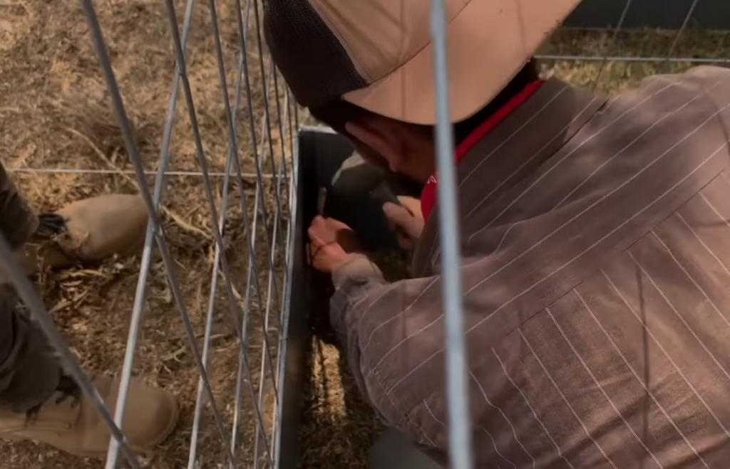 se deben sujetar las paredes de la jaula, asegurándose de que estén alineadas correctamente para evitar inclinaciones o deformaciones. 1