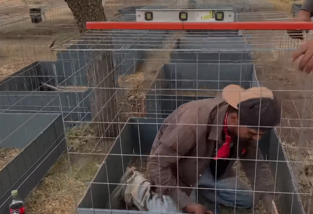 se deben sujetar las paredes de la jaula, asegurándose de que estén alineadas correctamente para evitar inclinaciones o deformaciones.3