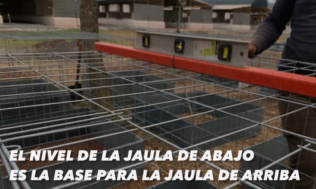 se deben sujetar las paredes de la jaula, asegurándose de que estén alineadas correctamente para evitar inclinaciones o deformaciones.4