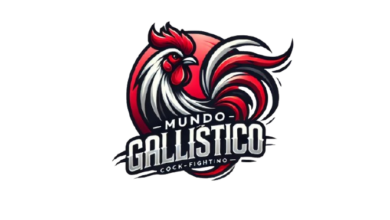 Mundo Gallístico featuring a stylized fighting rooster with vibrant red black and white colors. The tex removebg preview