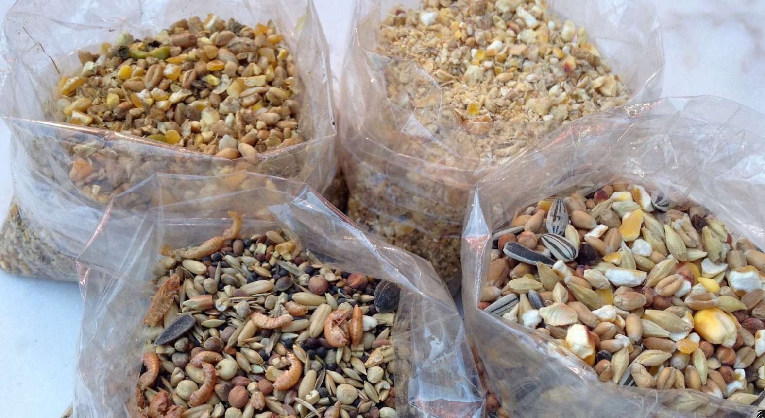 La Mejor Alimentación Para Pollos de Raza