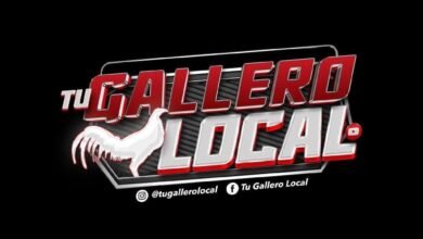 600338429 25741137455524311 8947210813441540984 n