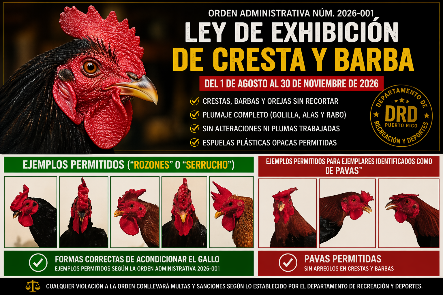 Exhibición De Cresta Y Barba En Puerto Rico Guía Operativa Completa